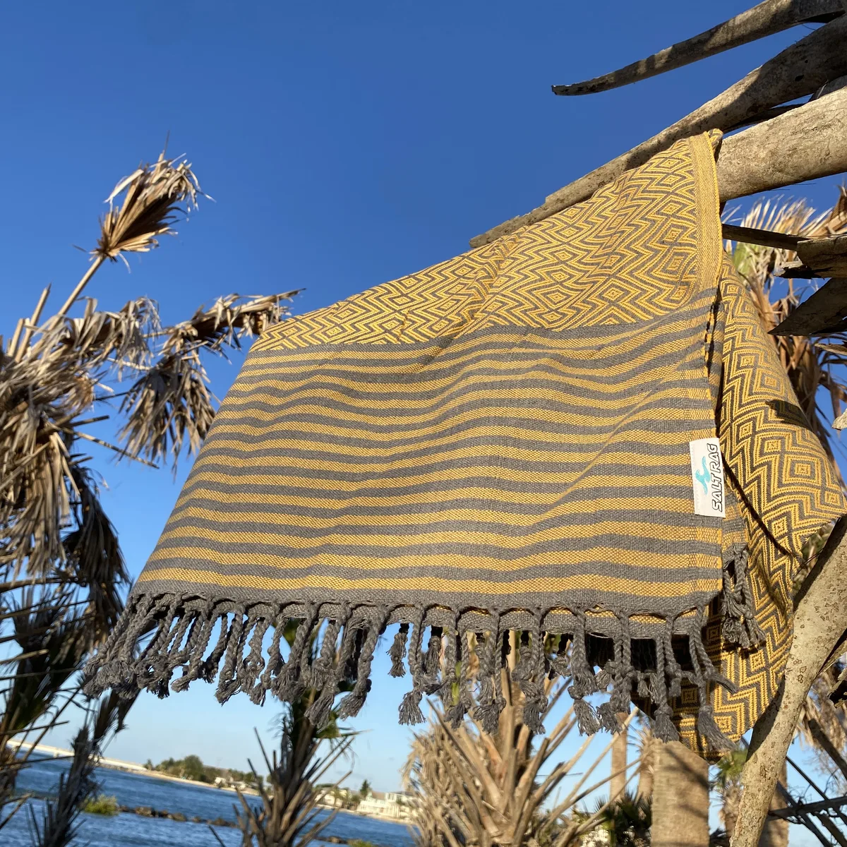 Yellow striped Salt Rag hanging from a coastal tree branch.