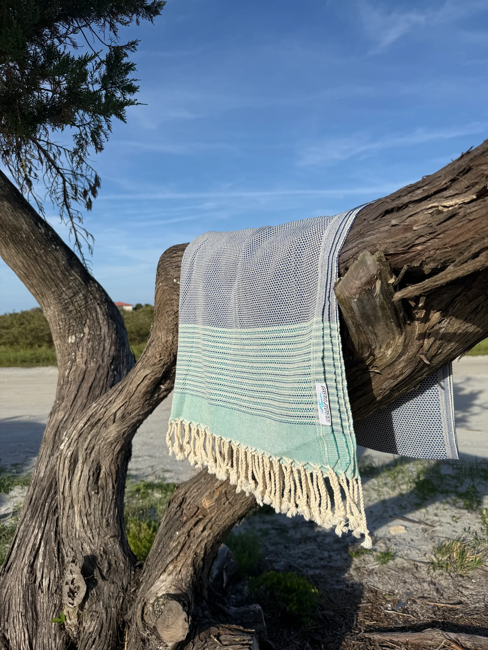 Gray and pale green striped Salt Rag draped over the branch of a weathered coastal tree.
